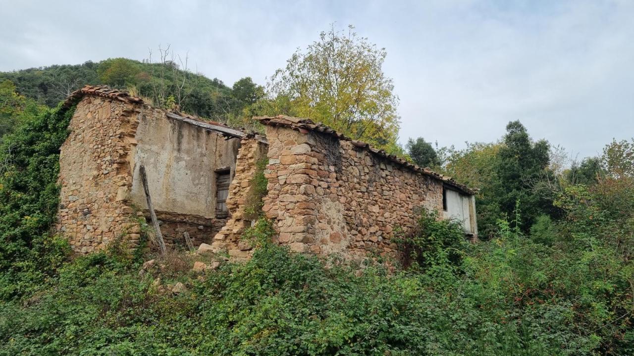 Villa Ca La Pauleta Sant Hilari Sacalm Exterior foto